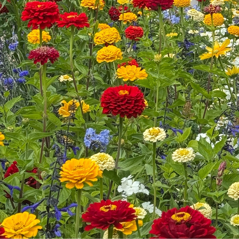 Meet your Posher, Jm